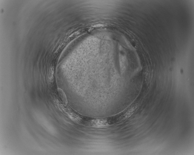 X0000051860660200507081824