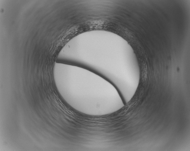 X0000051860661200507081824