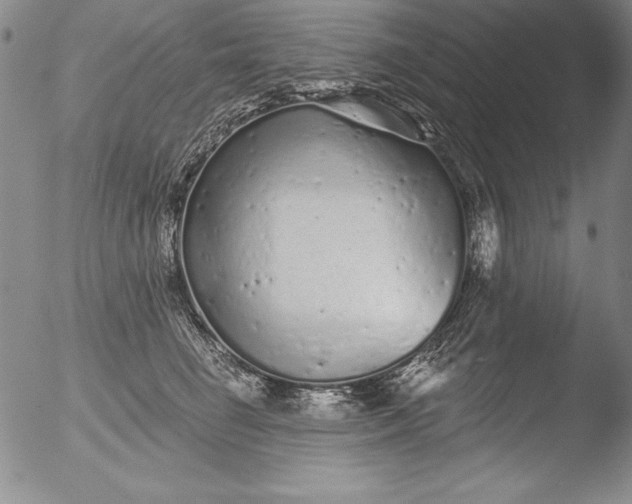 X0000051860662200507081824