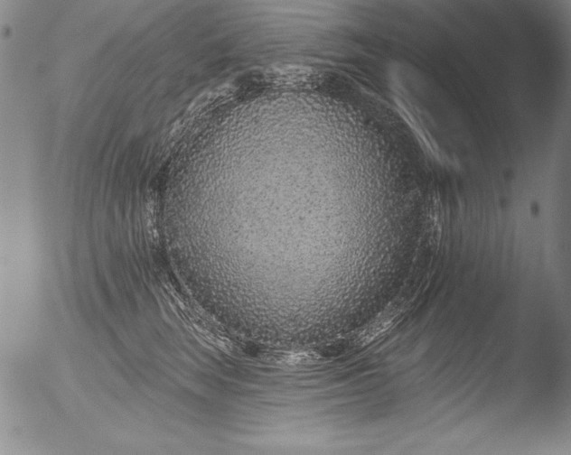 X0000051860663200507081824