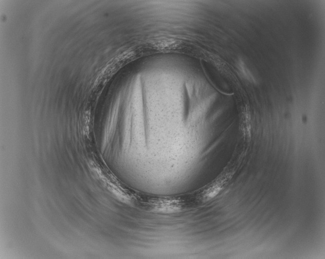 X0000051860664200507081824