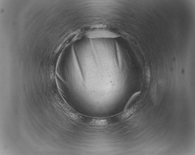 X0000051860665200507081824