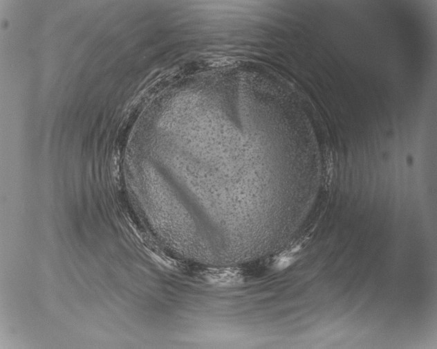 X0000051860667200507081824