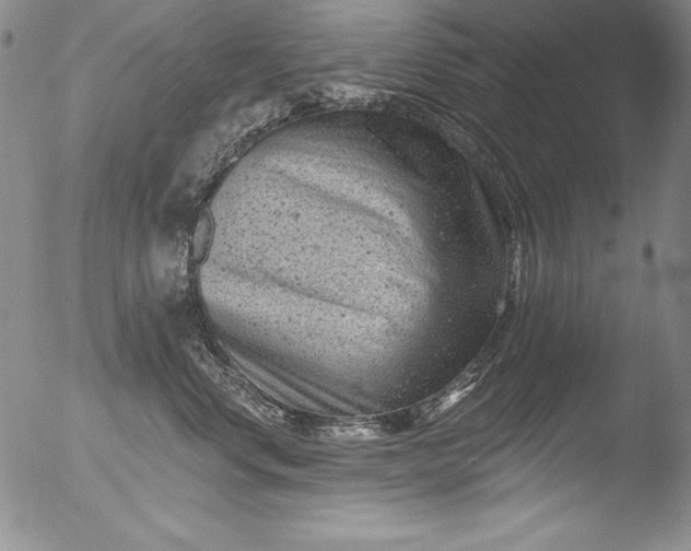 X0000051860668200507081824