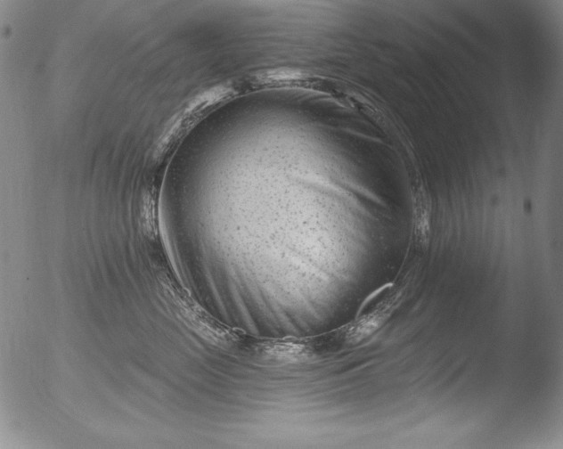 X0000051860669200507081824