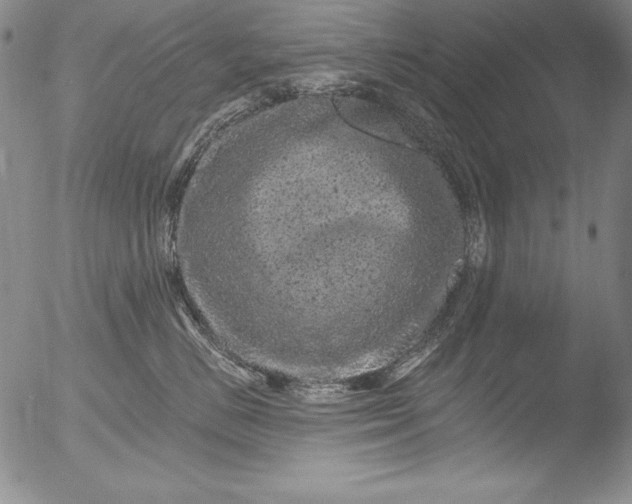 X0000051860670200507081824