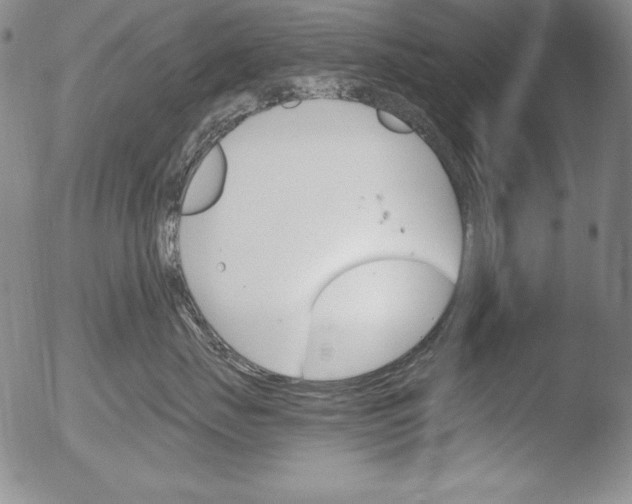 X0000051860671200507081824