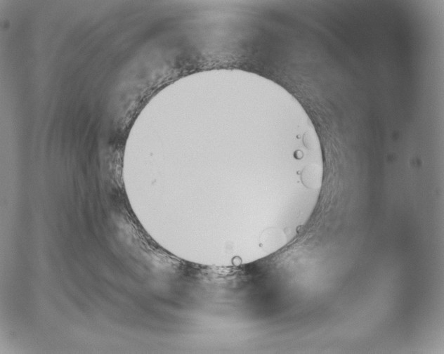 X0000051860672200507081824