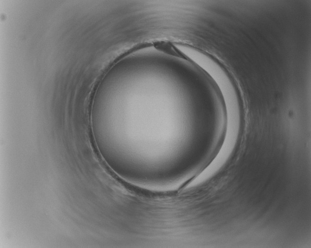 X0000051860673200507081823