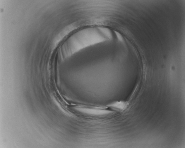 X0000051860674200507081823