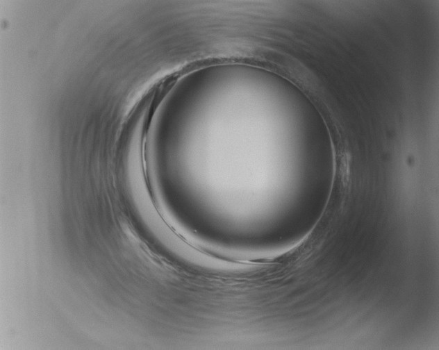 X0000051860676200507081823