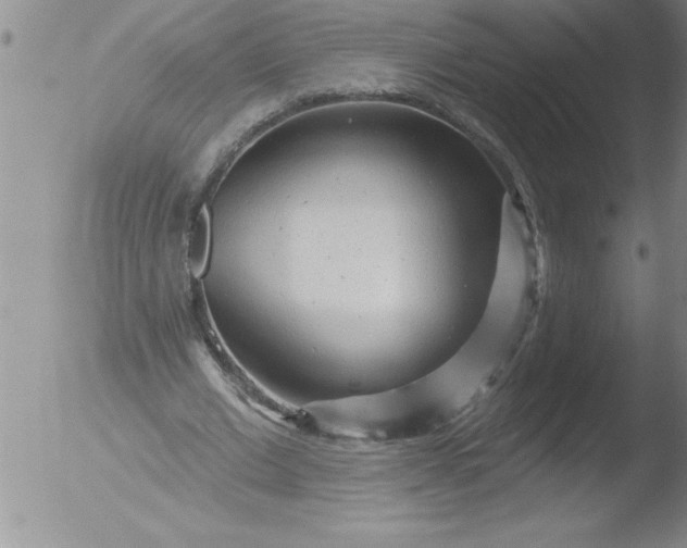 X0000051860677200507081823