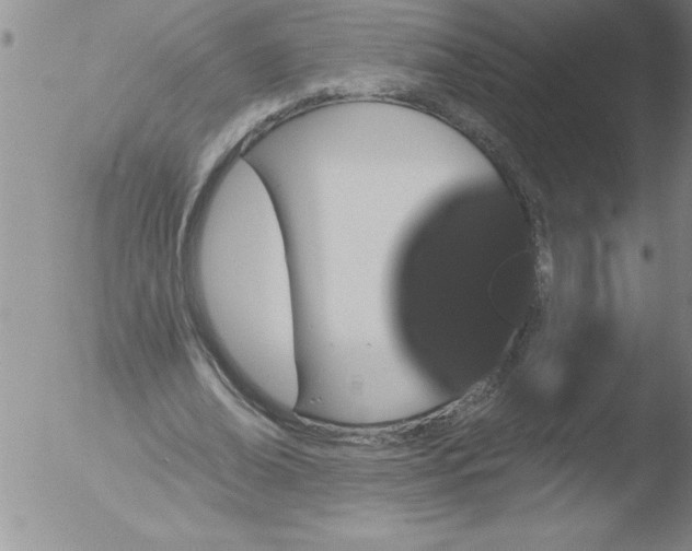 X0000051860678200507081823