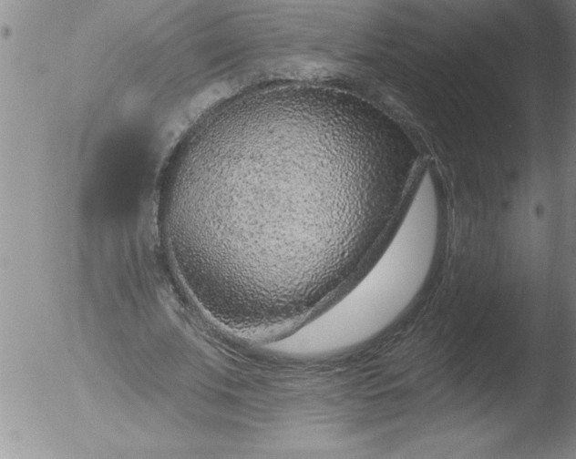 X0000051860679200507081823