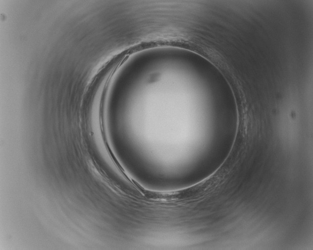 X0000051860680200507081823