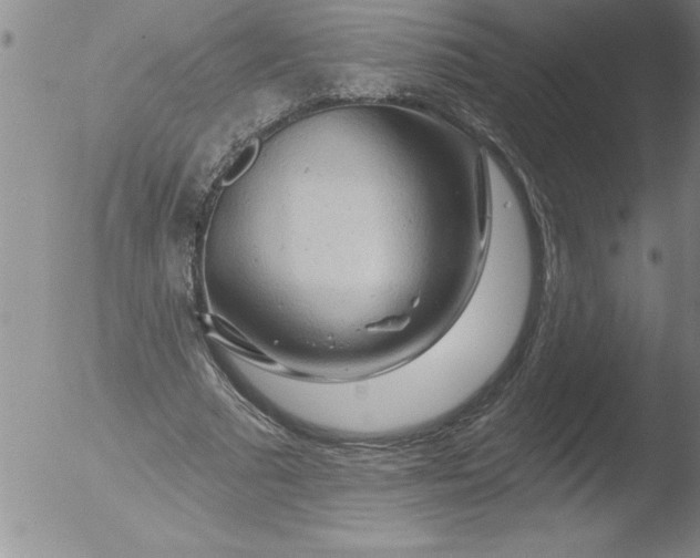 X0000051860681200507081823