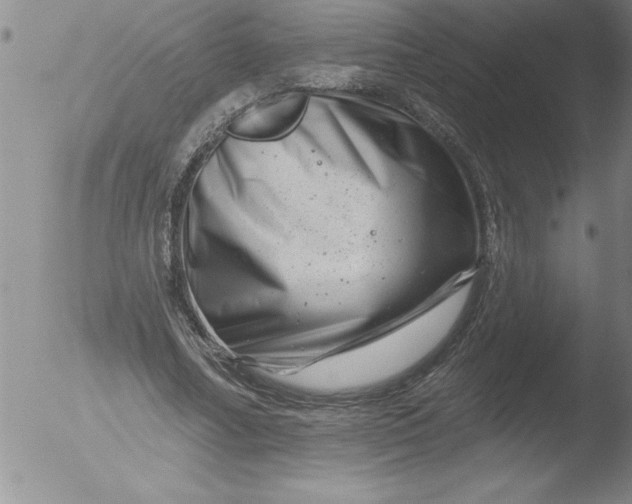 X0000051860682200507081823