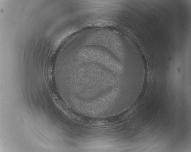 X0000051860683200507081823