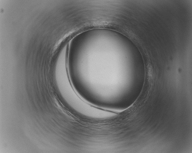 X0000051860684200507081823