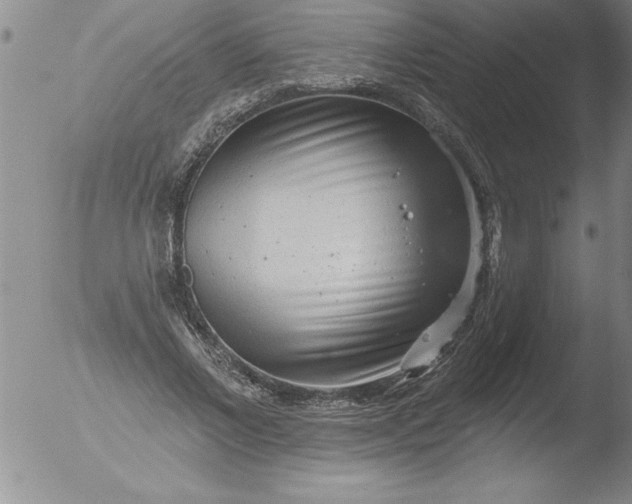 X0000051860685200507081823