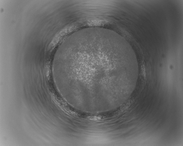 X0000051860687200507081823