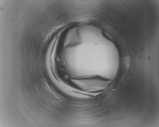 X0000051860688200507081823