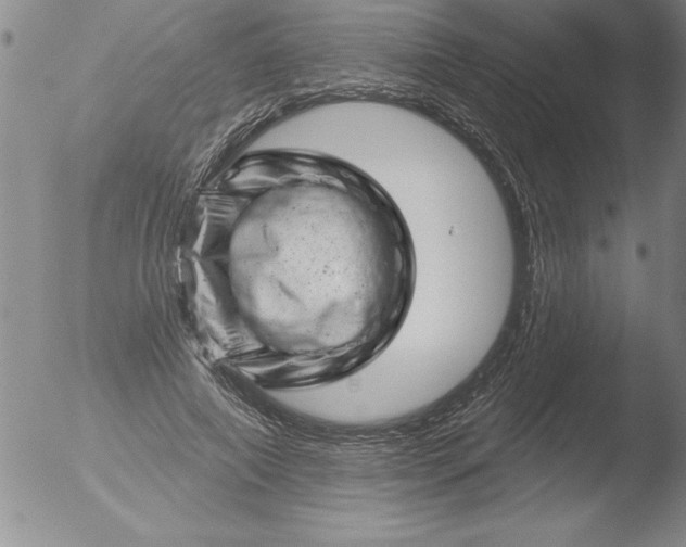 X0000051860690200507081823