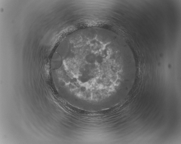 X0000051860691200507081823