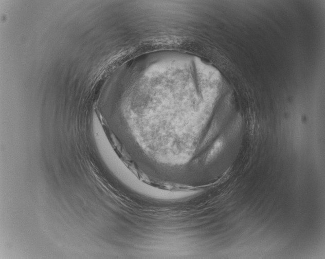 X0000051860692200507081823