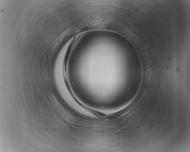 X0000051860693200507081823