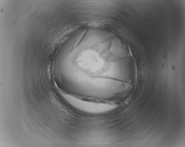 X0000051860696200507081823