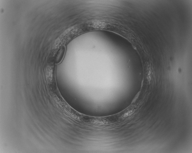 X0000051860697200507081823