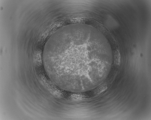 X0000051860699200507081823