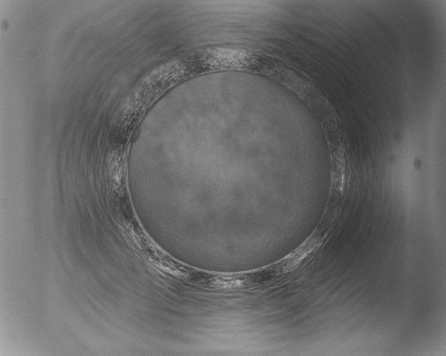 X0000051860701200507081823