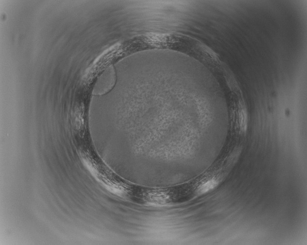 X0000051860702200507081823