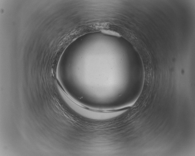 X0000051860704200507081823