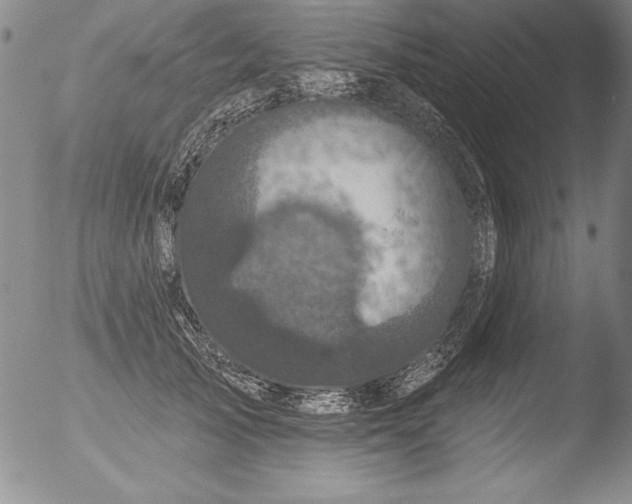 X0000051860705200507081823