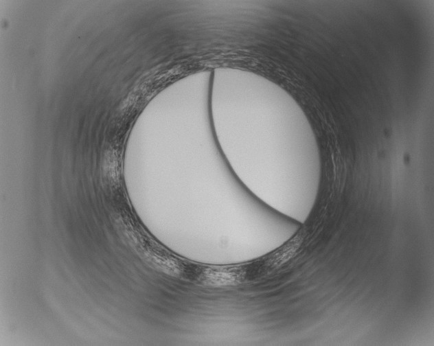 X0000051860706200507081823