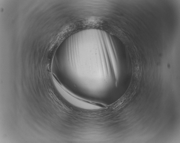 X0000051860708200507081823