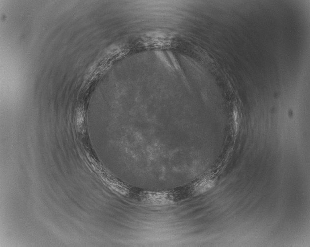 X0000051860709200507081823