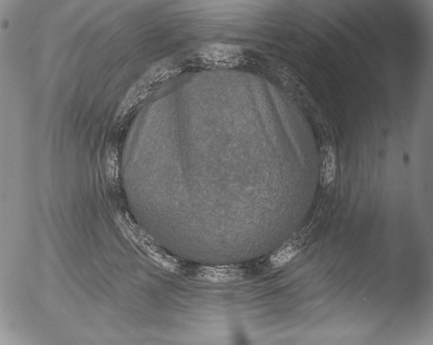 X0000051860713200507081823