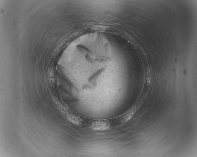 X0000051860714200507081822