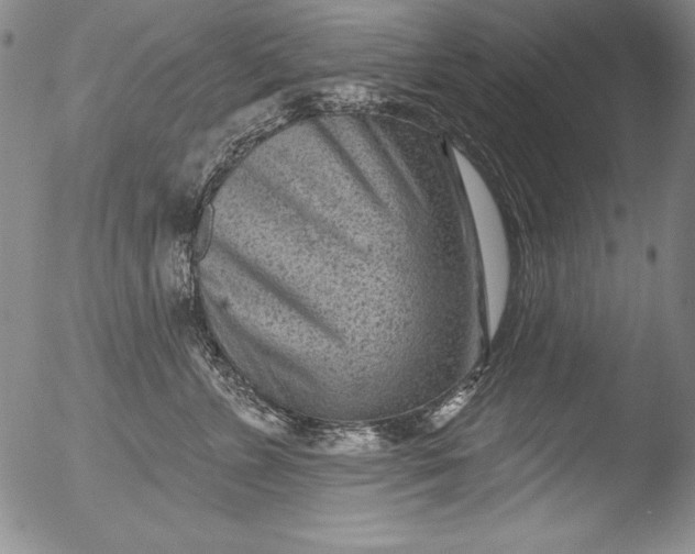 X0000051860715200507081822