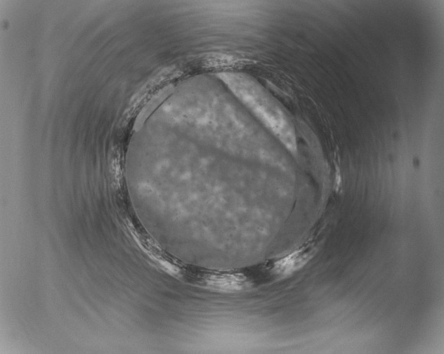 X0000051860716200507081822