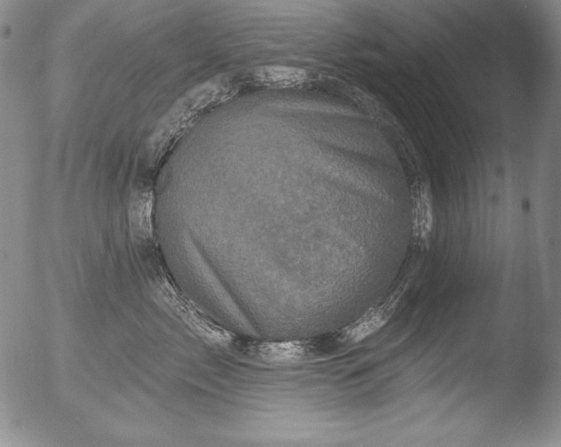 X0000051860717200507081822