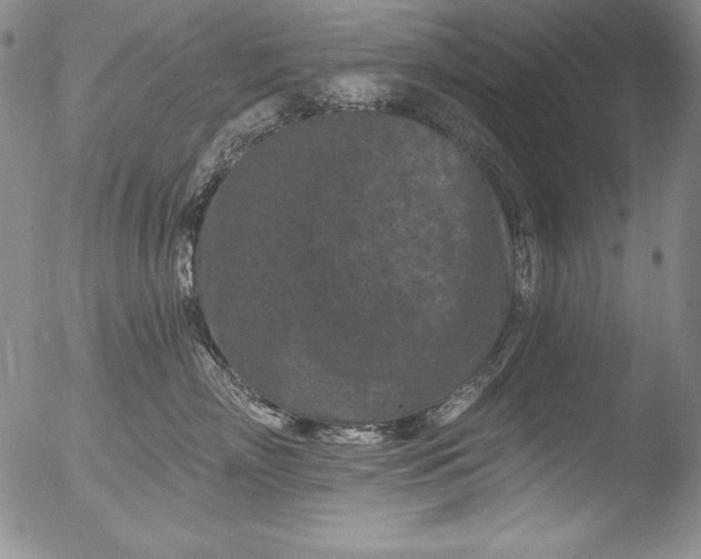 X0000051860718200507081822