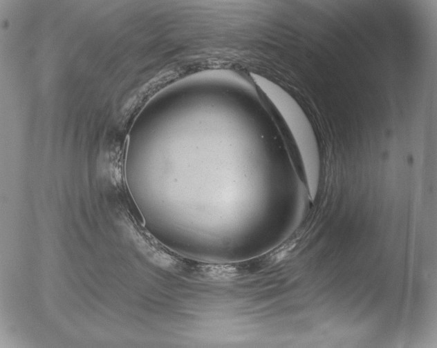 X0000051860719200507081822