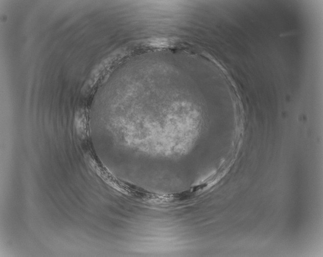 X0000051860720200507081822