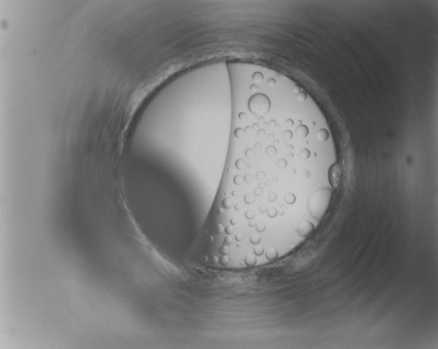 X0000051860721200507081822