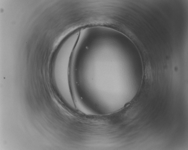 X0000051860722200507081822